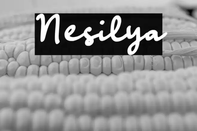 Nesilya Example 3