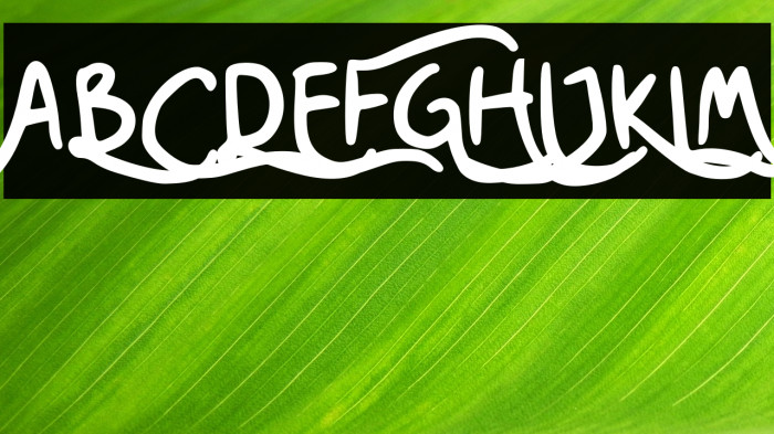 Nesora GT Demo Example 1