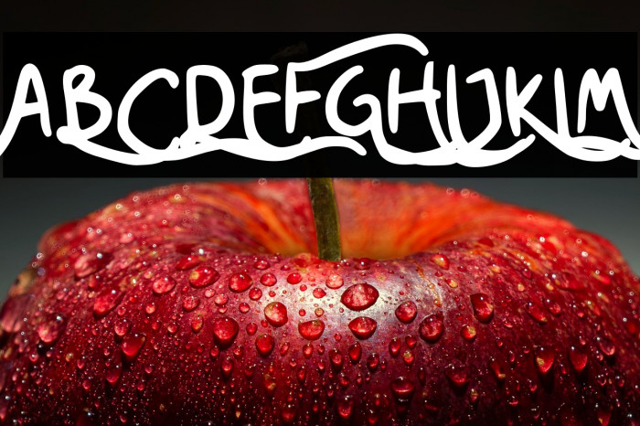 Nesora GT Demo Example 2