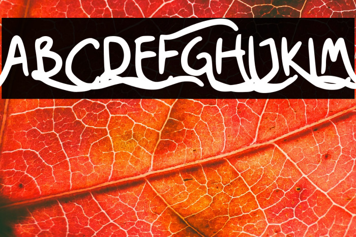 Nesora GT Demo Example 3