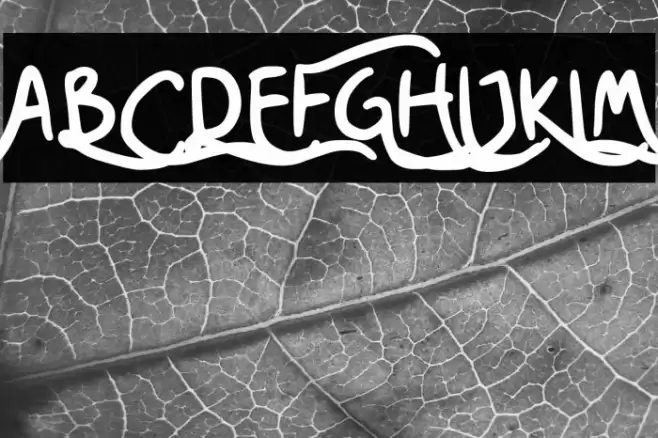 Nesora GT Demo Font examples