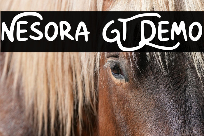 Nesora GT Demo Example 2