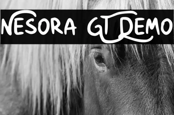 Nesora GT Demo Font examples