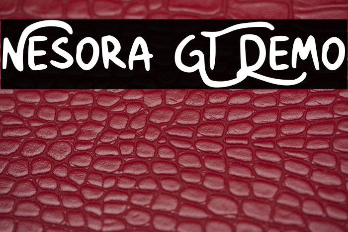 Nesora GT Demo Example 3