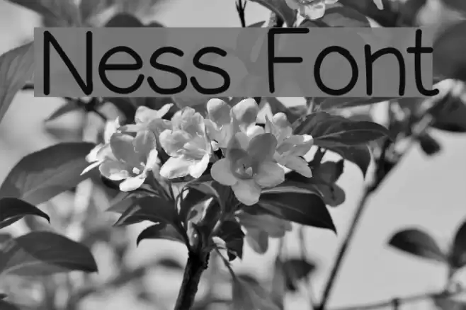 Ness Font examples