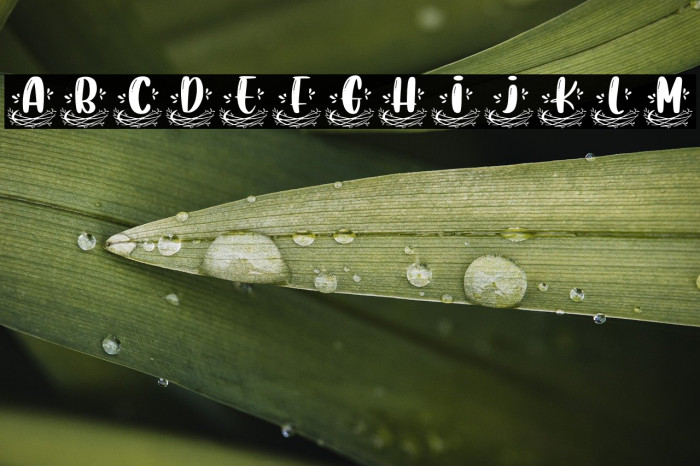 Nest Monogram Example 3