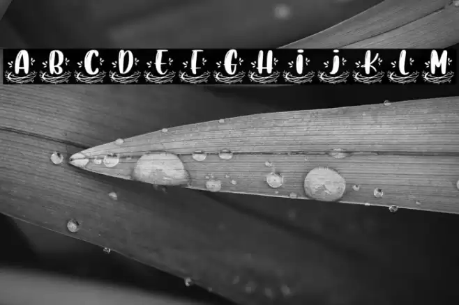 Nest Monogram Font examples