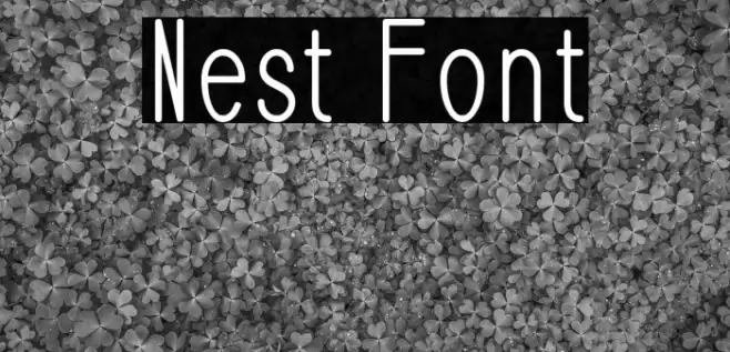 Nest Font examples
