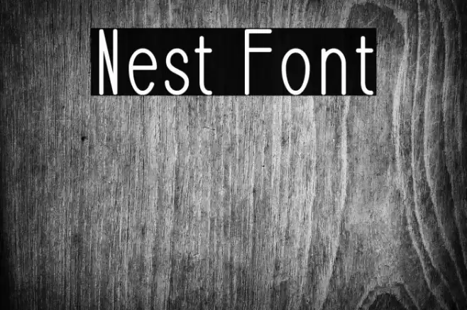 Nest Font examples