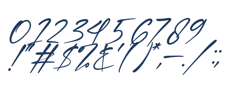 Nestone Italic Other Characters