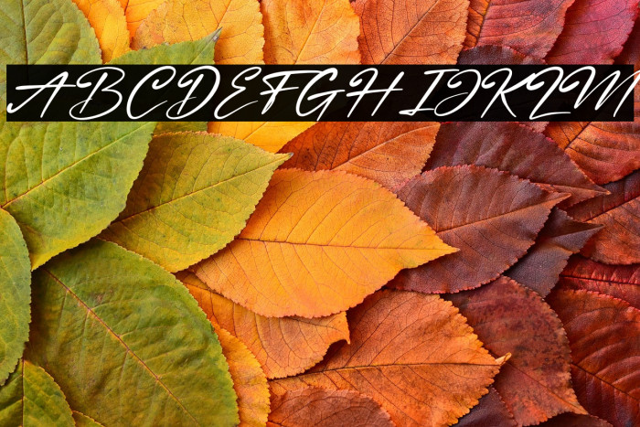 Nestone Italic Example 1