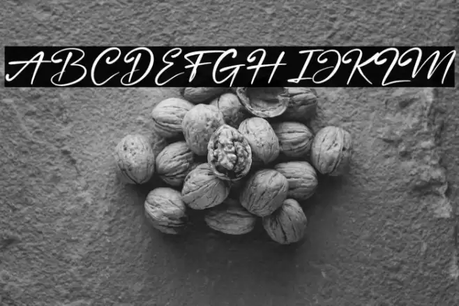 Nestone Font examples