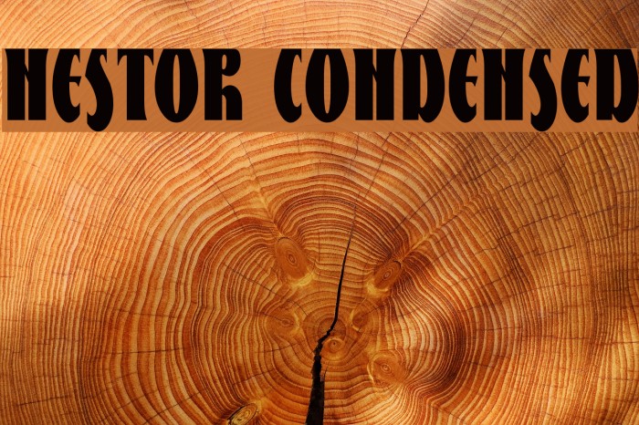 Nestor Condensed Font examples