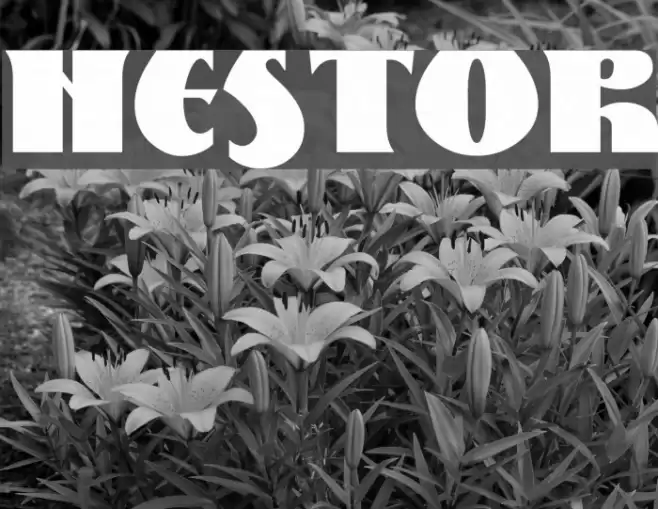 Nestor Font examples