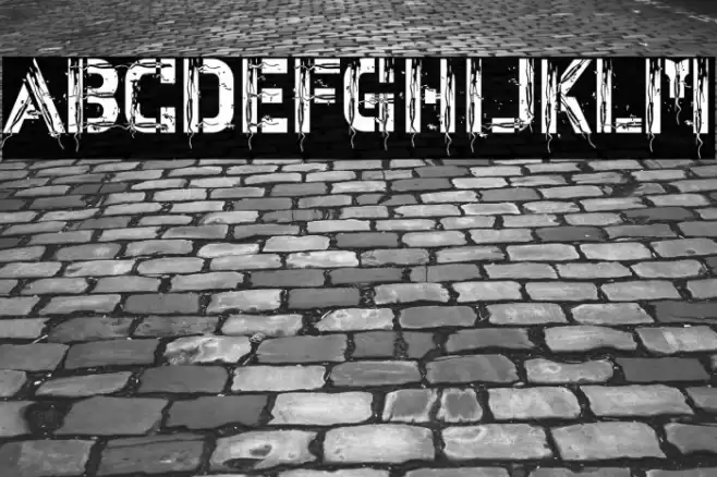 Net Bold خط examples