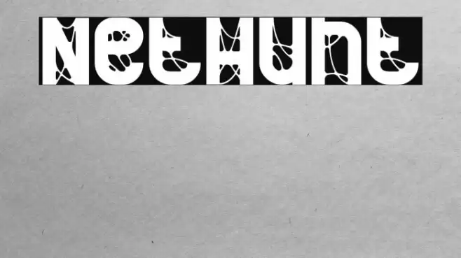 NetHunt Fuentes examples