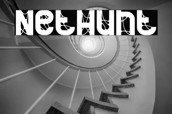 NetHunt Fuentes examples