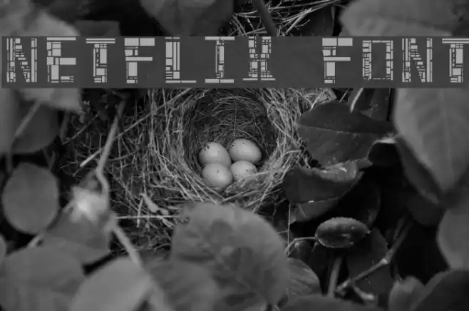 Netflix Font Font examples