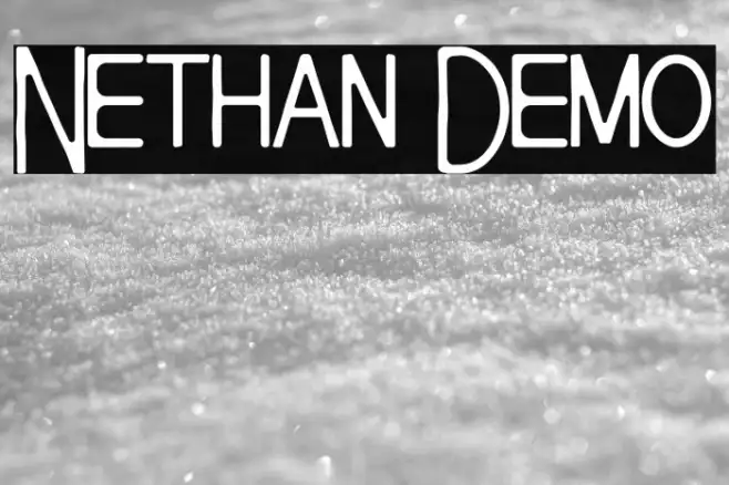 Nethan Demo Example 1
