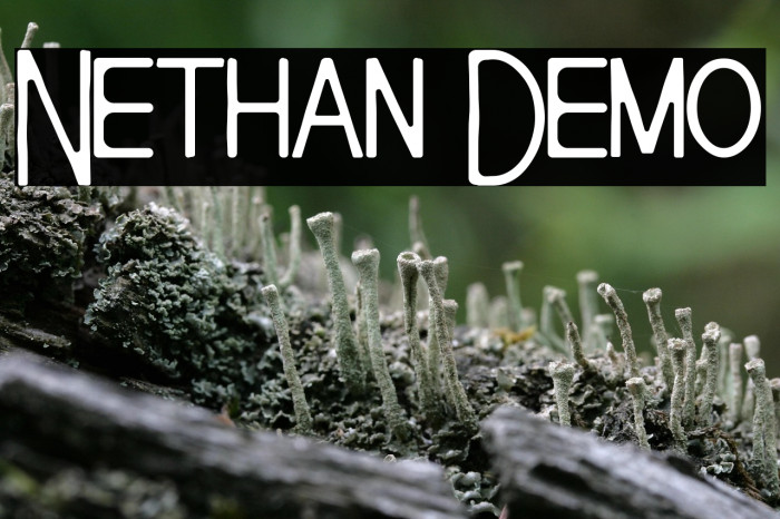 Nethan Demo Example 2