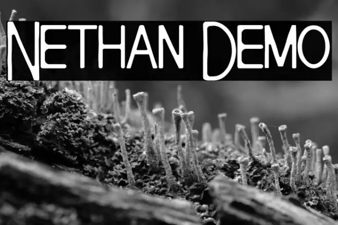 Nethan Demo Example 2