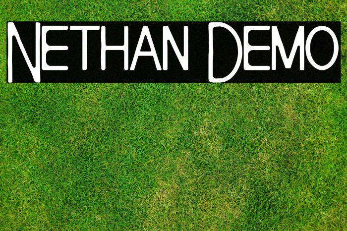 Nethan Demo Example 3