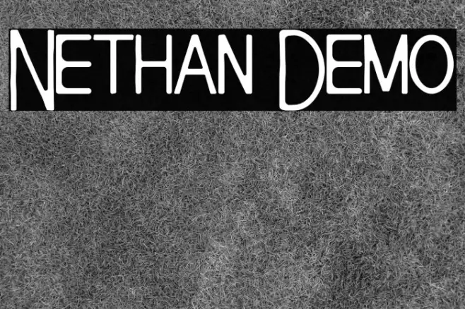 Nethan Demo Example 3