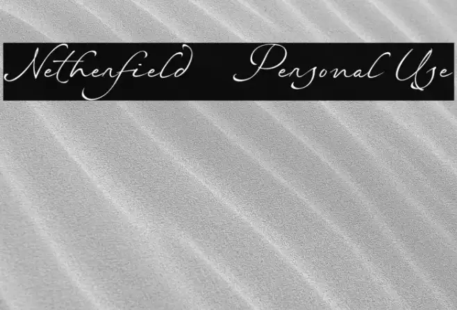 Netherfield - Personal Use Example 1