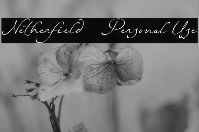 Netherfield - Personal Use Example 2