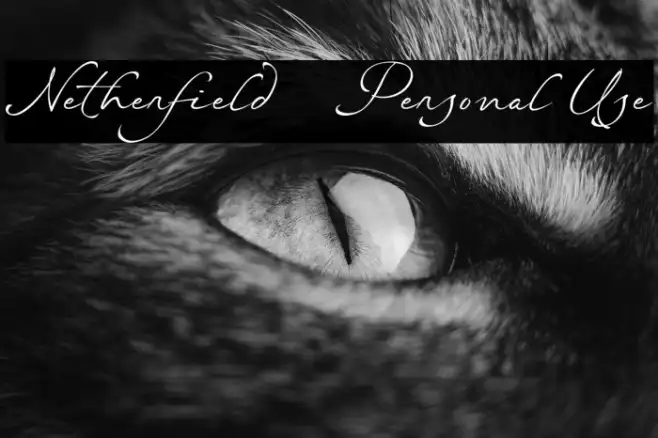 Netherfield - Personal Use Example 3
