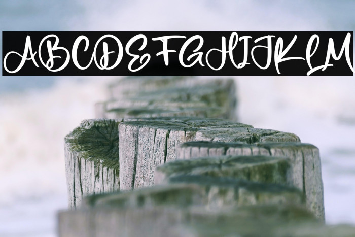 Netherland Example 1