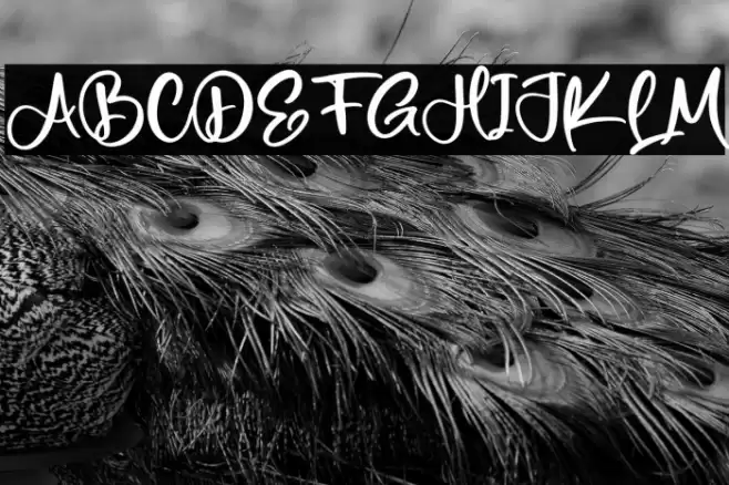 Netherland Font examples