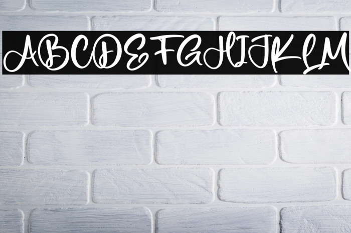 Netherland Example 3