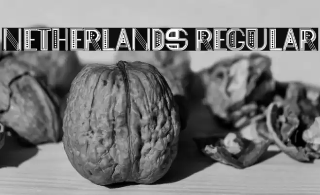 Netherlands Regular Font examples
