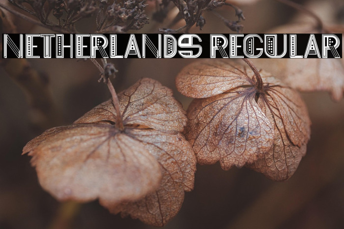 Netherlands Regular Example 2