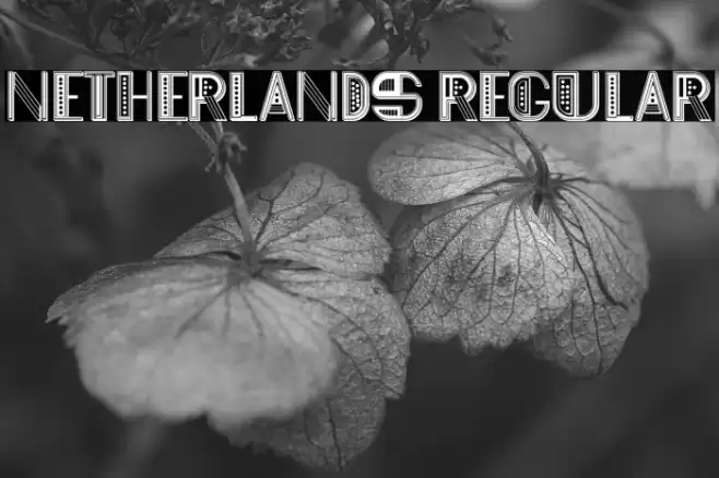 Netherlands Regular Font examples