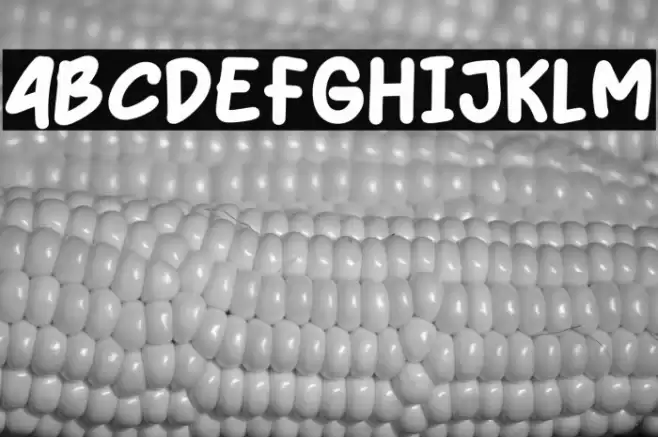 Netigen Font examples