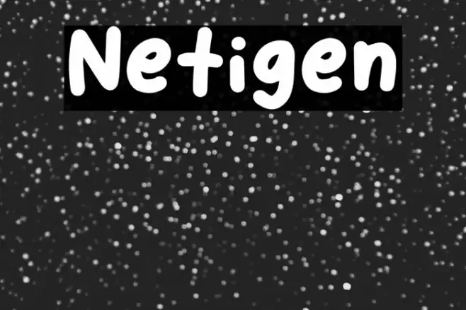 Netigen Font examples