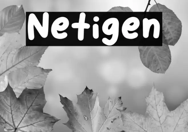 Netigen Font examples