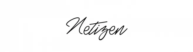 Netizen  Fuentes Gratis Descargar