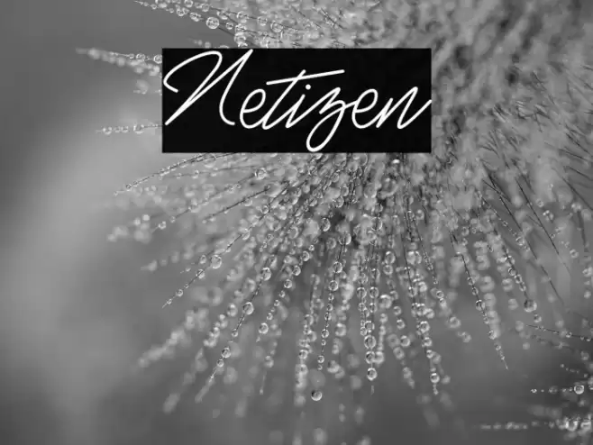 Netizen Font examples