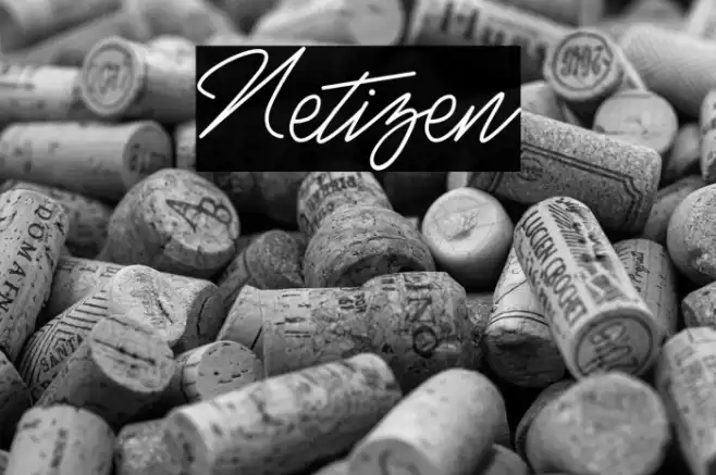 Netizen Font examples