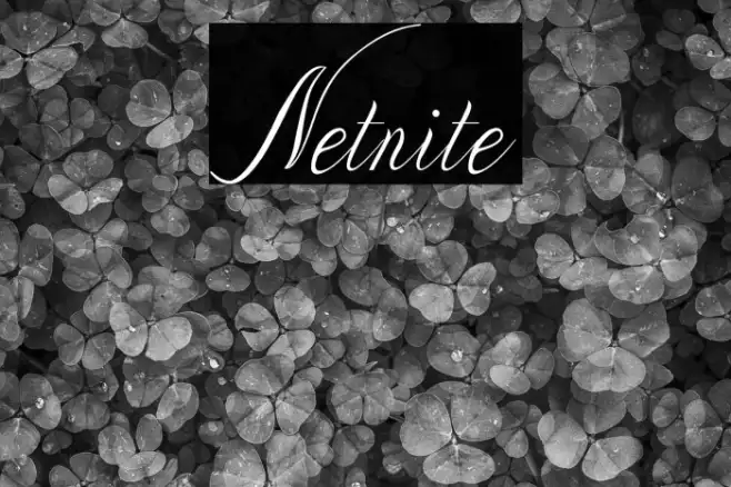 Netnite Example 1