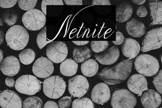 Netnite Example 2