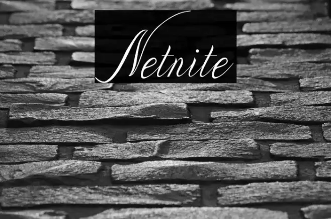 Netnite Example 3