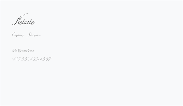 Netnite Business Card