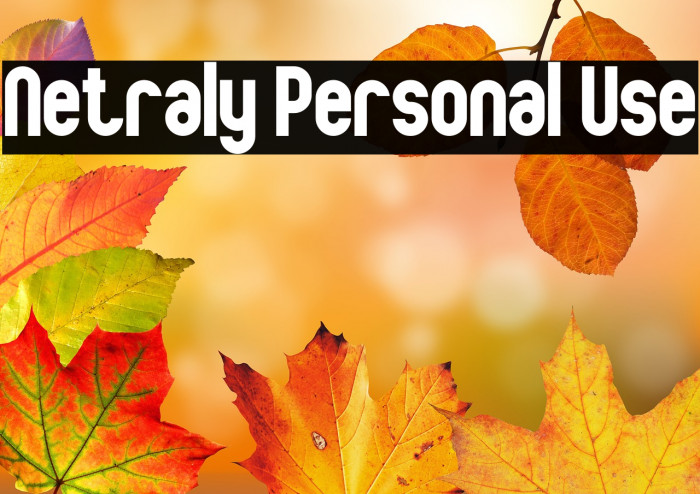 Netraly Personal Use Example 1