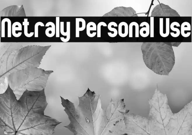 Netraly Personal Use Example 1