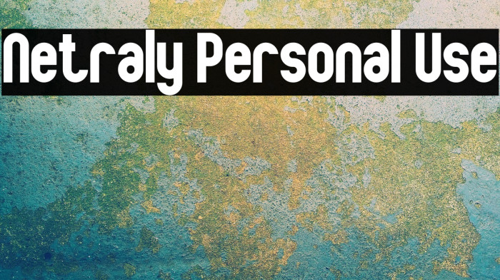 Netraly Personal Use Example 2