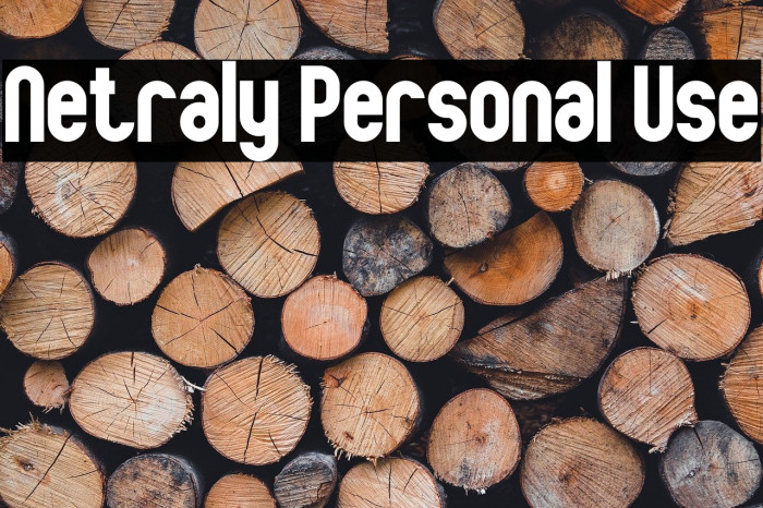Netraly Personal Use Example 3